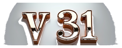 v 31 logo